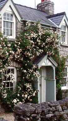 Queens Head StoreHouse Cottage llandudno