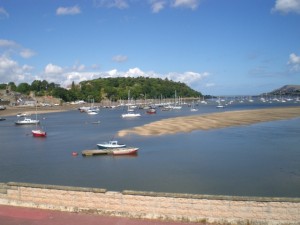 cowny river festival