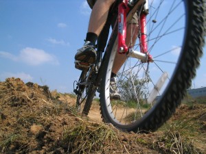 Coed y Brenin Mountain Bike Trail