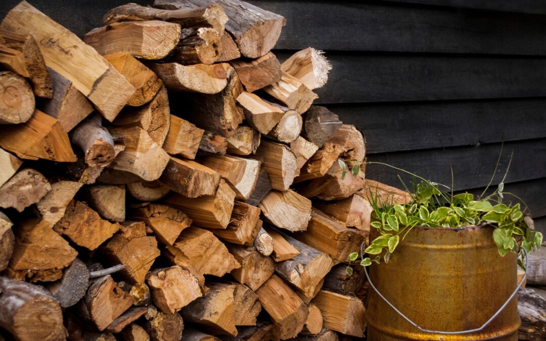 Local vs. Imported Firewood: Why It Matters